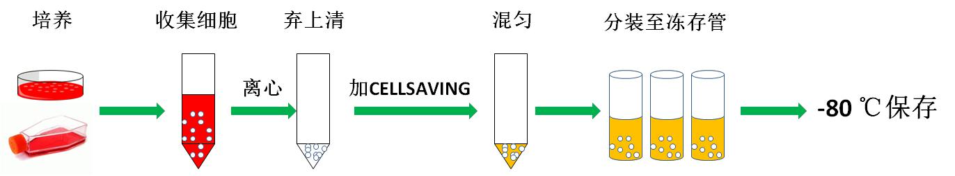 圖片1.png